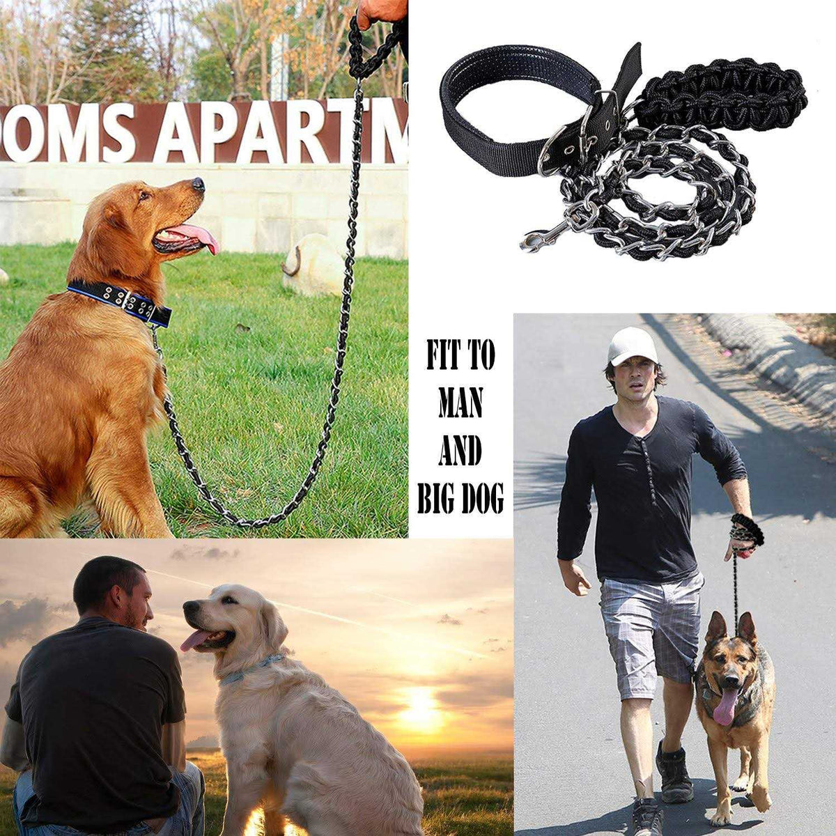 Heavy Duty Metal Dog Leash with Collar N624262