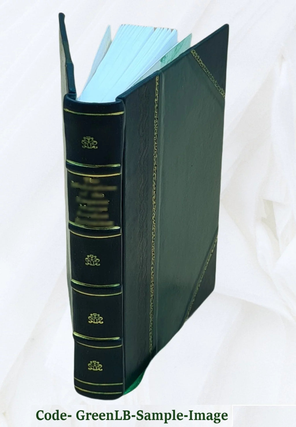 Domestic Life in England Leather Bound S10588