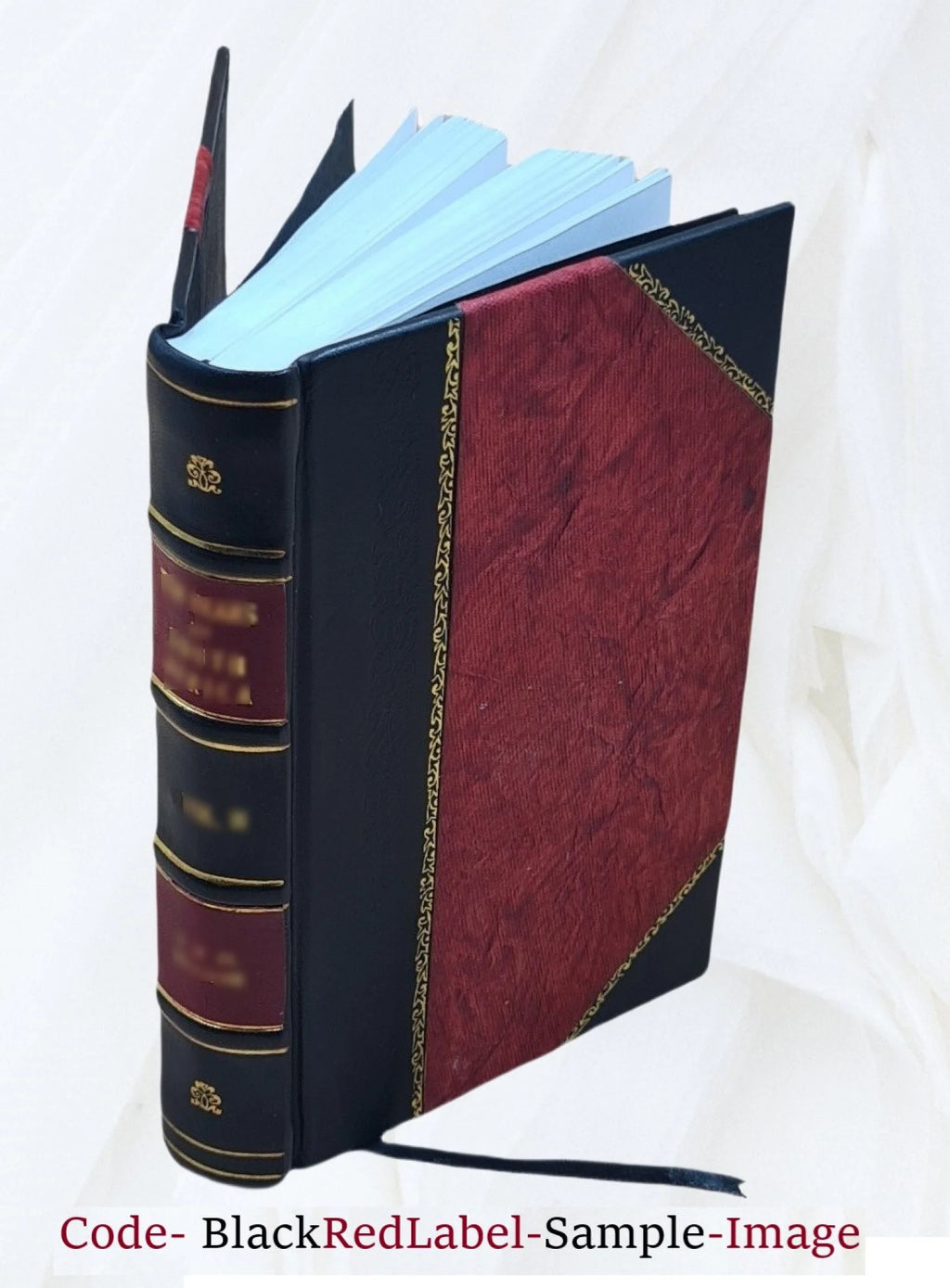 Will-power 1902 Leather Bound U1959