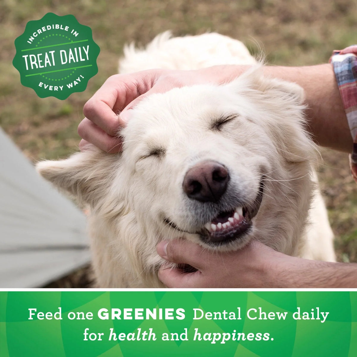 Original Flavor Dental Treats for Dogs 18 oz 4 Pack E3863